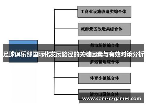 足球俱乐部国际化发展路径的关键因素与有效对策分析